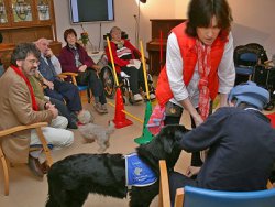 René Röspel (links) erlebte hautnah, wie positiv sich die Hundetherapie von Cordula Karsten und ihren Hunden Tessa (vorn) und Lilli auf die Bewohner des Seniorenzentrums auswirkt.